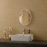 Oval Simple Behind Illuminated Bathroom Magnifying LED Mirror
