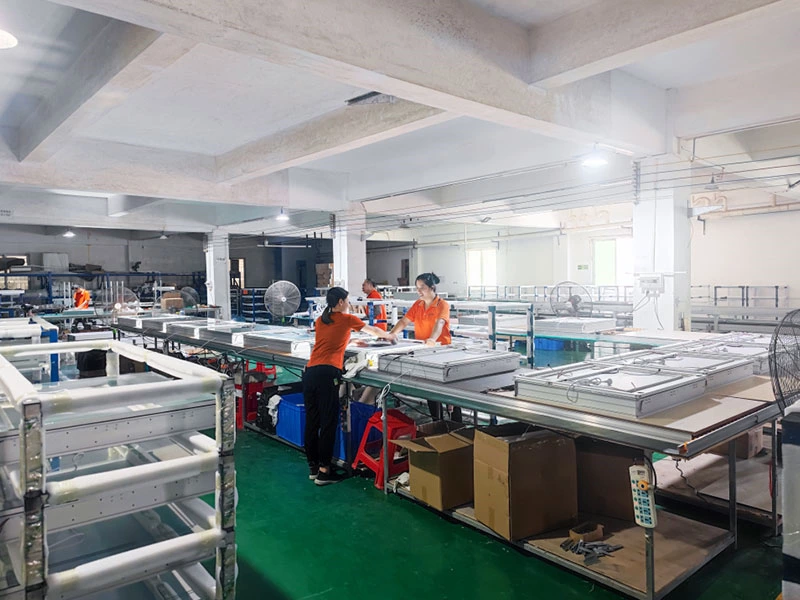Company Profile