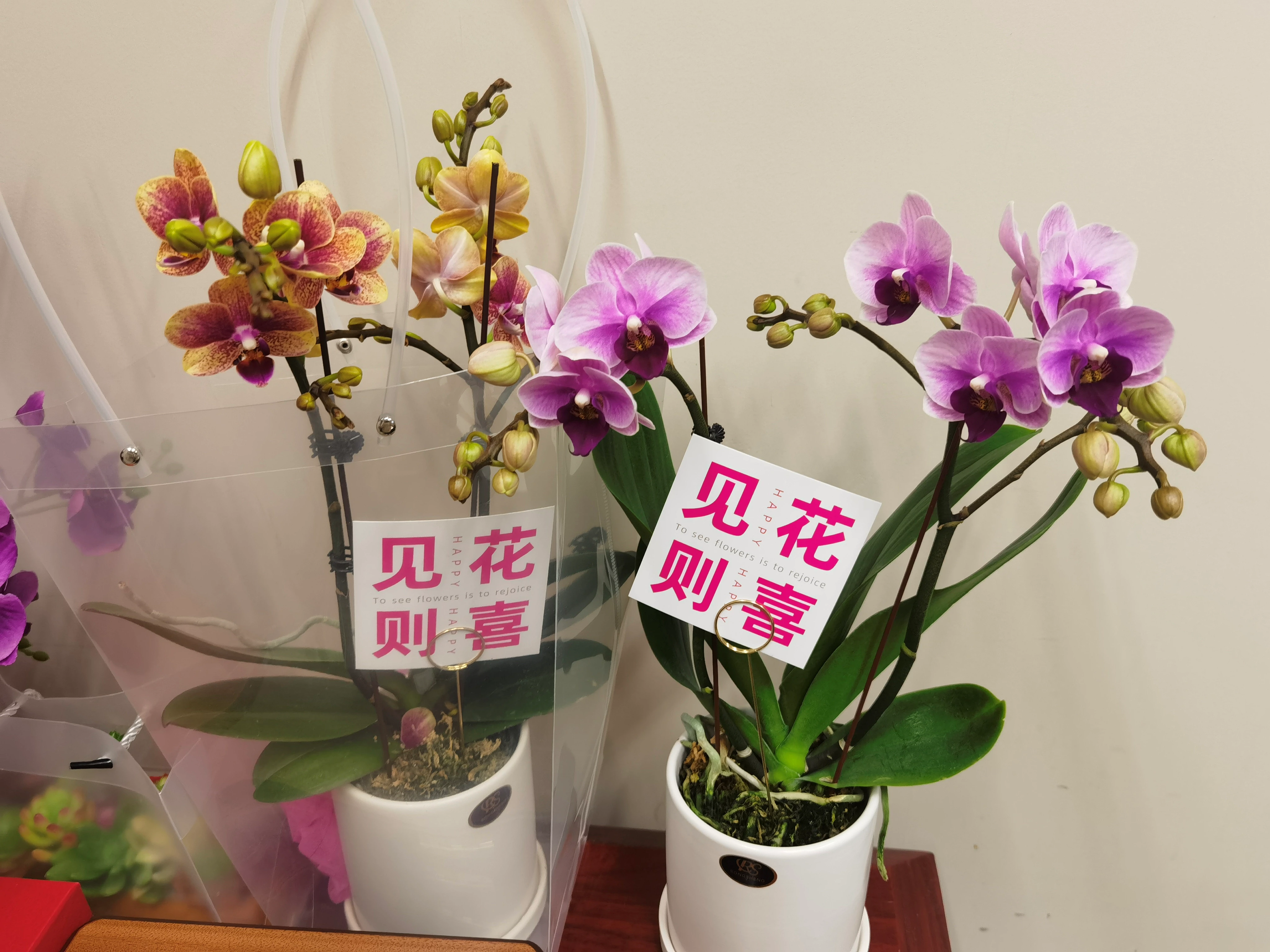 Cheers to a Fantastic Year & Brighter Horizons in 2026! 🎉 |  Cambodia Based Lighted Mirror Factory